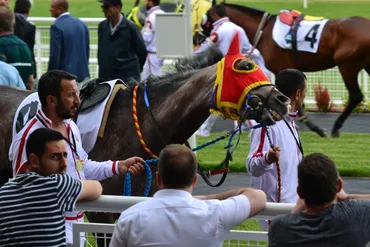 アンカラ競馬場（トルコ・アンカラ）訪問記】人気決着が常のトルコでGⅠ観戦。 – ダリマナ