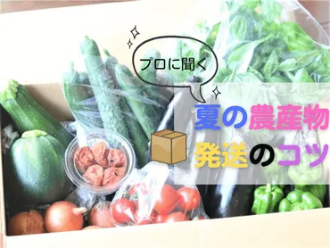 自家農園野菜の発送方法？冷蔵便と常温便、どっちがええん？