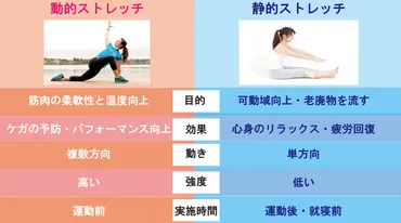 運動前の動的ストレッチ７選！静的ストレッチとの違いや効果を解説