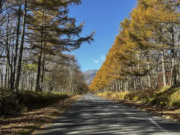 これが二拠点生活のリアル】山梨に住み始めたきっかけから終活まで。上野千鶴子氏の新刊本『八ヶ岳南麓から』 