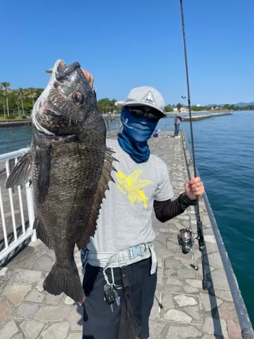 浜名湖新居海釣公園で五目釣り！ 