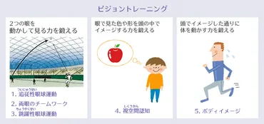 ビジョントレーニングって、目も鍛えられるの？とは！？