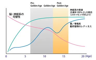 ゴールデンエイジが発育発達のカギ（後編） 