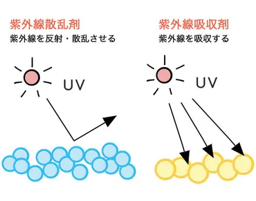 日焼け止め、美白ケアってホントに必要？肌を守るための基礎知識紫外線対策とは！？