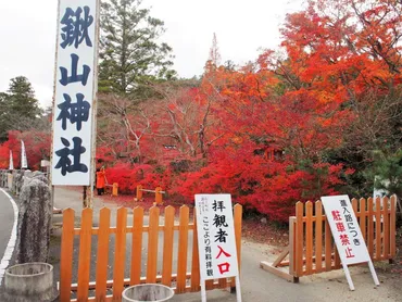 鍬山神社ってどんなとこ？歴史と紅葉が美しい神社とは！？