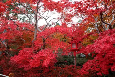 丹波の紅葉名所・鍬山神社 