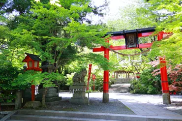 亀岡の［鍬山神社］はこの地一帯を開拓した神を祀る古社 