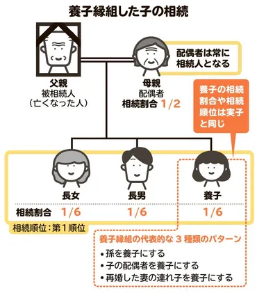 養子縁組って相続に影響あるの？相続の知識、深掘りしちゃお！