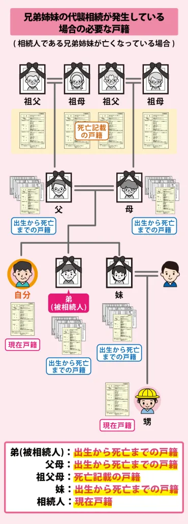 戸籍謄本まるわかり】相続手続きに必要な戸籍をケース別に徹底解説 