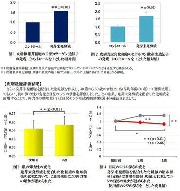 発芽米発酵液」から新たにアンチエイジング機能を確認/ファンケル – 健康美容EXPO ニュース