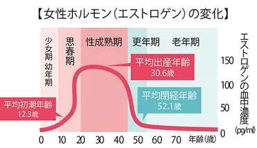 閉経とは？】 閉経を迎える年齢や判断基準について知っておきたい基礎知識