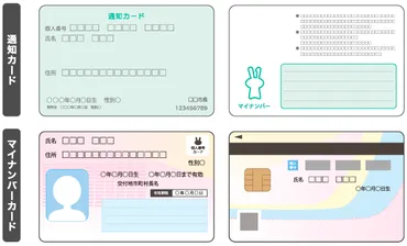 通知カードとマイナンバーカード（個人番号カード）の違い