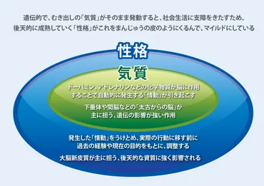 クロニンジャー博士の「パーソナリティ理論」とは？気質、性格でマネジメントを考える 