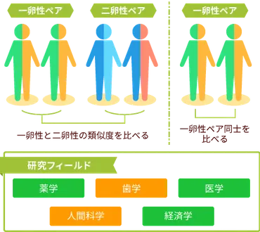 ふたご研究（ツインリサーチ）でわかること 