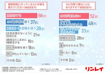 梅雨時期のカビ対策：除湿器の効果とは！？築50年団地での実体験から