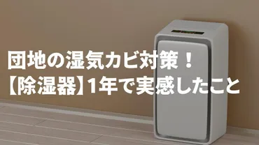 築50年団地で除湿器の効果を実感！】～梅雨の湿気対策・カビ対策に～ – 団地暮らしブログ