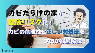 カビだらけの家が健康リスクに！カビの危険性と正しい対処法をプロが徹底解説！ 