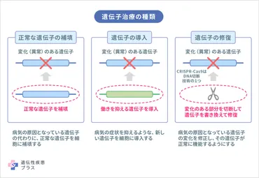 遺伝子治療をめぐる倫理的な問題とは？ 