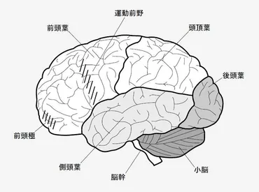 老化は゛感情゛からはじまる⁈ 医者が教える老けないための脳の使い方とは？ 