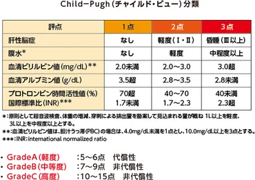 肝硬変って、どんな病気？肝硬変とは！？