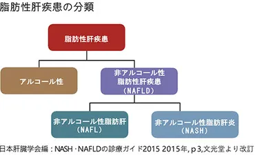 脂肪肝（NAFLD） – 兵庫医科大学 肝疾患センター