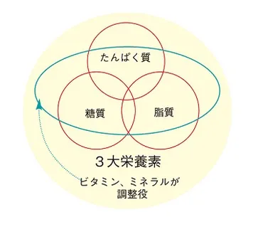 妊娠しやすい体づくり│不妊治療情報センター│不妊治療情報センター