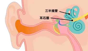 乗物酔いの症状とメカニズムについて