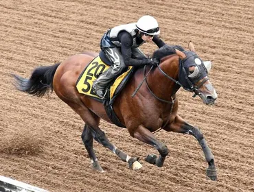 オールカマー】ロバートソンキー豪快３馬身先着 林師「いい動き」/競馬・レース/デイリースポーツ online