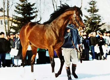 トウカイテイオーは最強の馬なのか？父を超えた伝説の競走馬とは！？