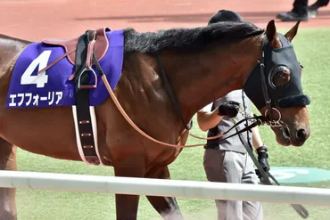 オグリキャップ、トウカイテイオーが奇跡の復活…有馬記念で共通していた条件とは 