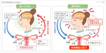 更年期障害の症状・原因