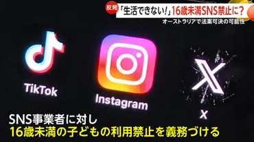 TikTokにインスタ、Xも…16歳未満SNS利用禁止法案が11月末にも提出 豪首相「SNSは若者を傷つけている」若者「現実的じゃないだろう」 オーストラリア(FNNプライムオンライン)