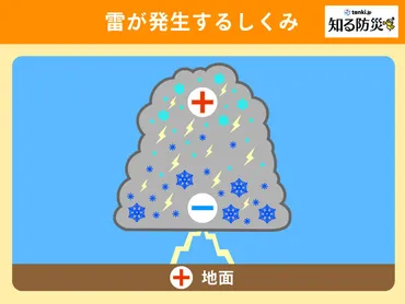 雷って、実は怖い？身近な自然現象の真実雷の正体とは！？