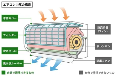 エアコンのカビ撃退完全ガイド！黒カビの掃除方法・原因・予防策を解説