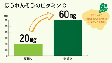 野菜の栄養価と価格、旬と旬以外の時期でどれくらい違うの？