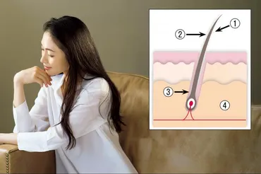 髪の衰えに新知見！ 「老化菌」から頭皮を守る／最新育毛科学①