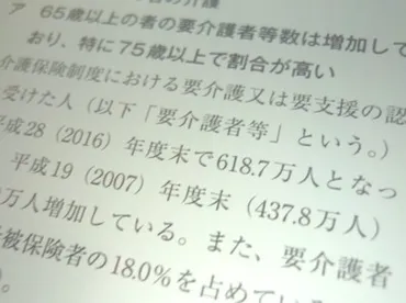 介護が必要となった要因、認知症が最多 2019年版高齢社会白書 