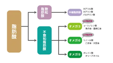 食用油の種類と選び方！健康的な油選びはできる？健康的な油選びとは！？