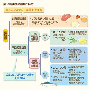 伸ばそう血管年齢－血清脂質から考えた生活習慣改善－ – 血管の健康とよい生活習慣がわかる情報サイト 血管健康くらぶ