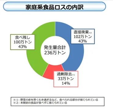 フードドライブとは？実施・参加の手順、寄付におすすめのNPOを紹介【専門メディア】