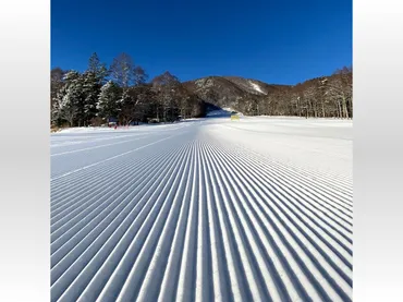 ゴンドラで別世界へ! 好アクセスのスノーリゾートとは? 利用券は長野県富士見町のふるさと納税返礼品でも（2024年12月14日）