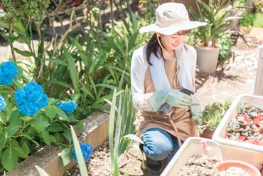 シニアライフを充実させる趣味は？ガーデニングの魅力とは？健康寿命を延ばす秘訣!!