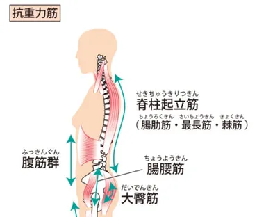 年金月5万円で生活する71歳の紫苑さん！節約生活の秘訣とは？年金5万円で豊かに暮らす知恵とは！？