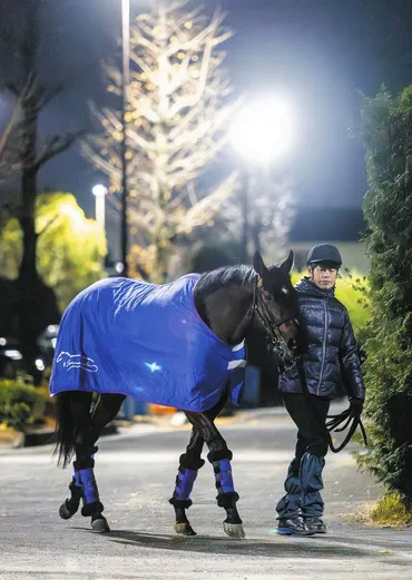 ドウデュース、衝撃の取り消し 友道師「金曜、少し歩様おかしくなって」種牡馬という大仕事が待ち「決断せざるを得なかった」【有馬記念 】：中日スポーツ・東京中日スポーツ