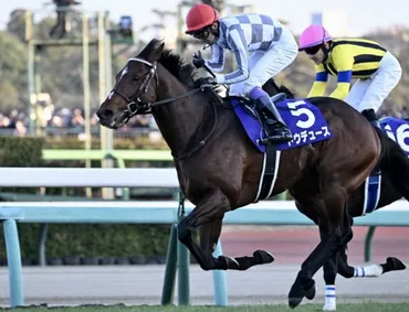 有馬記念は大本命ドウデュース衝撃の゛ハ行゛取り消しでラストランを走らず゛引退゛となり大混戦必至…勝つのはどの馬だ？ –  本格スポーツ議論ニュースサイト「RONSPO」