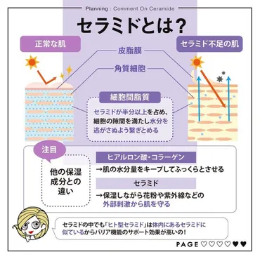 乾燥・ゆらぎ肌にはセラミド! 効果やおすすめスキンケアをご紹介 