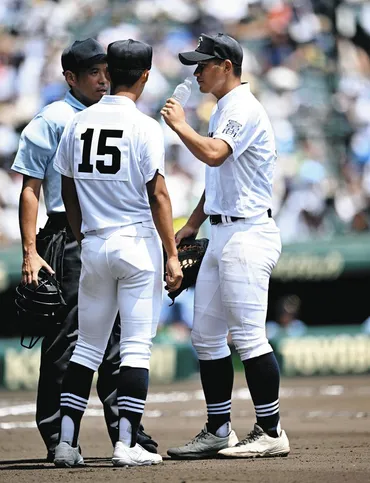 高校野球 暑さ対策で「7回制」検討 ：中日新聞Web