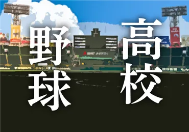高校野球が7回制を最短26年以降導入 日本高野連「７イニング制等高校野球の諸課題検討会議」設置 