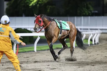 川崎競馬】10Rで4頭が落馬…3名が病院へ搬送 