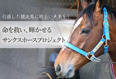 競馬で沸かせたあの馬は今…引退馬を守りたい！馬たちに明るいセカンドキャリアを